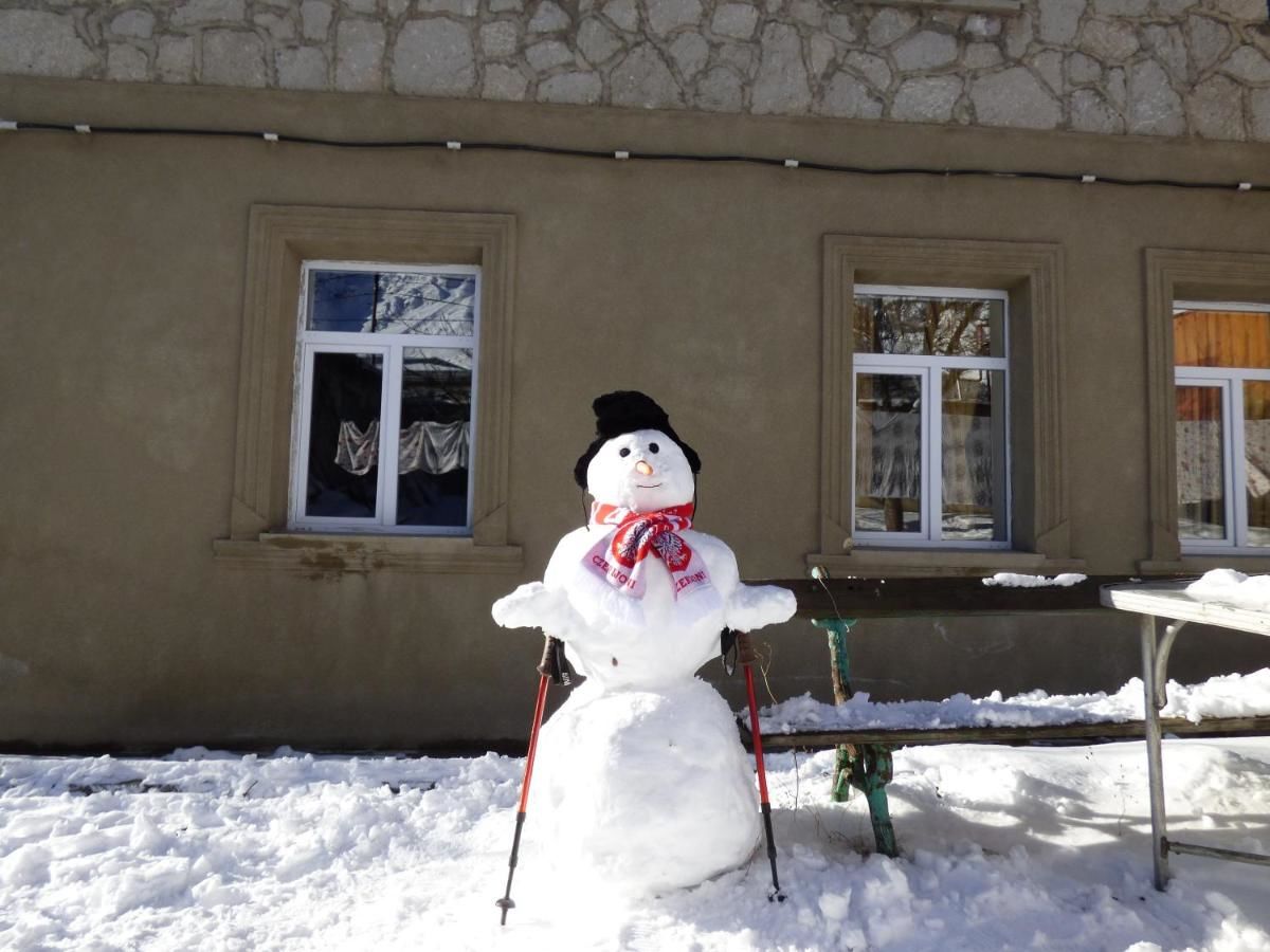 Гостевой дом Anano Guest House Степанцминда-18