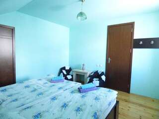 Гостевой дом Anano Guest House Степанцминда Стандартный двухместный номер с 1 кроватью-17
