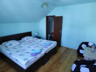 Гостевой дом Anano Guest House Степанцминда Стандартный двухместный номер с 1 кроватью-19